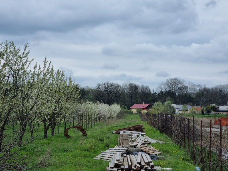 Teren intravilan Bacău-Hemeiusi - str. Grădinarilor