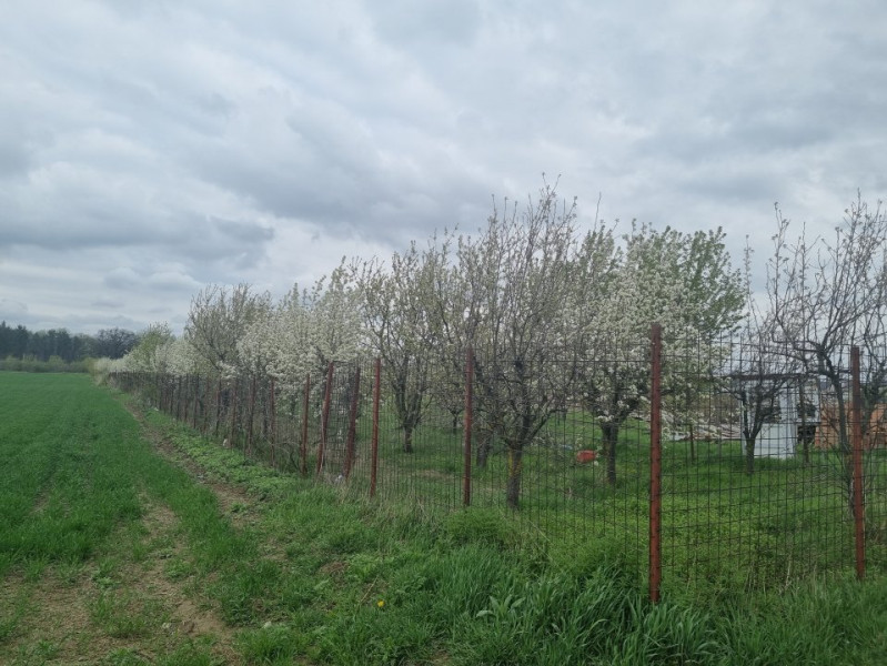 Teren intravilan Bacău-Hemeiusi - str. Grădinarilor