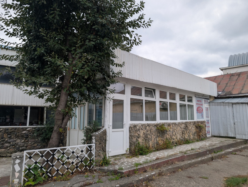 Spatii de inchiriat Bacau zona Gara