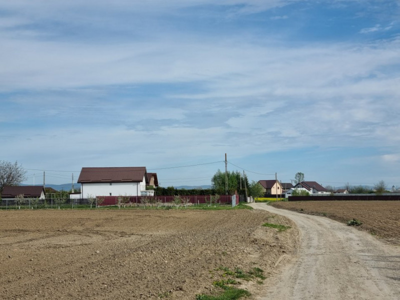 500 mp Lilieci la întrare în spatele Scolii.