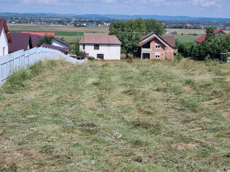 Teren Hemeiusi, Nisipariei, langa case.