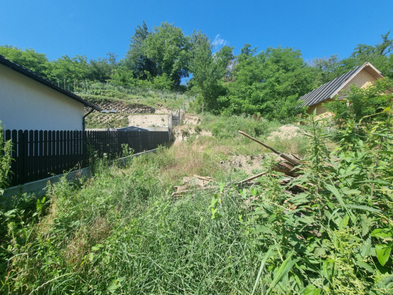 Teren intre case, Hemeiusi str Codrului