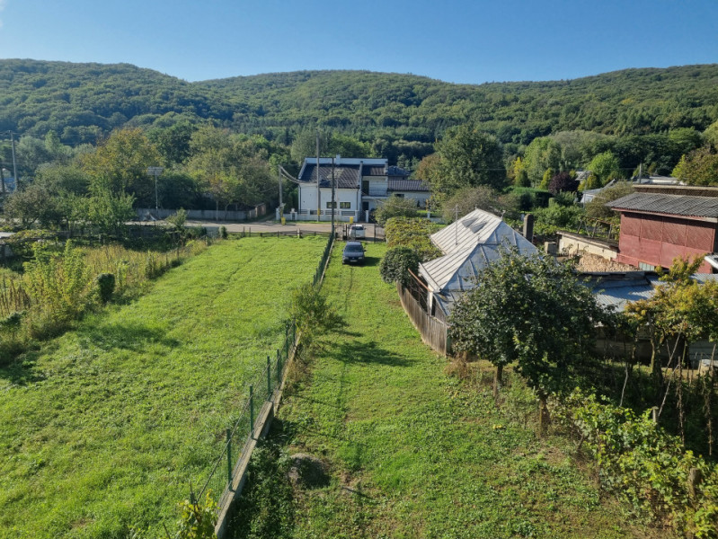 Casa Valea Budului , priveliște deosebita spre padure.