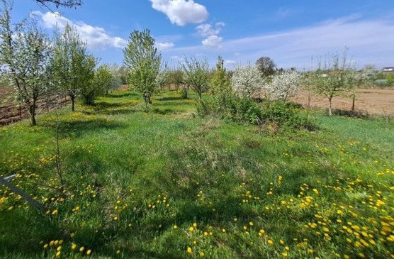 Comuna Filipesti-Centru: Casă + Teren 2000 mp