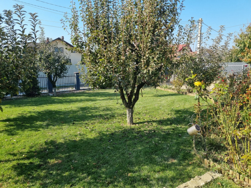 Casa deosebita Letea Veche, 1000m teren , 4 dormitoare 