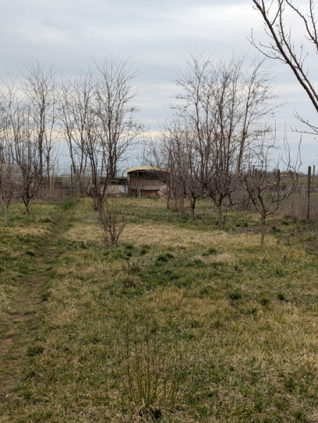 Casa 4 dormitoare, teren 2000m