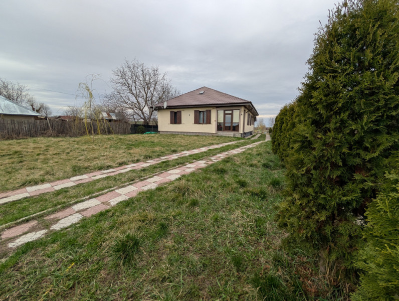 Casa 4 dormitoare, teren 2000m