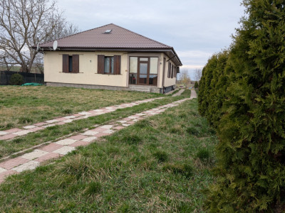Casa 4 dormitoare, teren 2000m