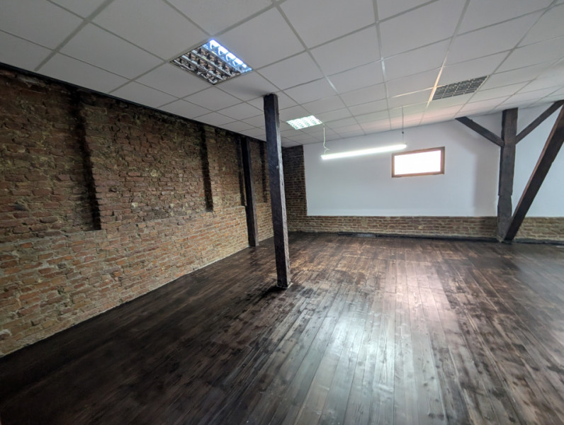 Spatii comerciale și de birou, zona Arena Mall