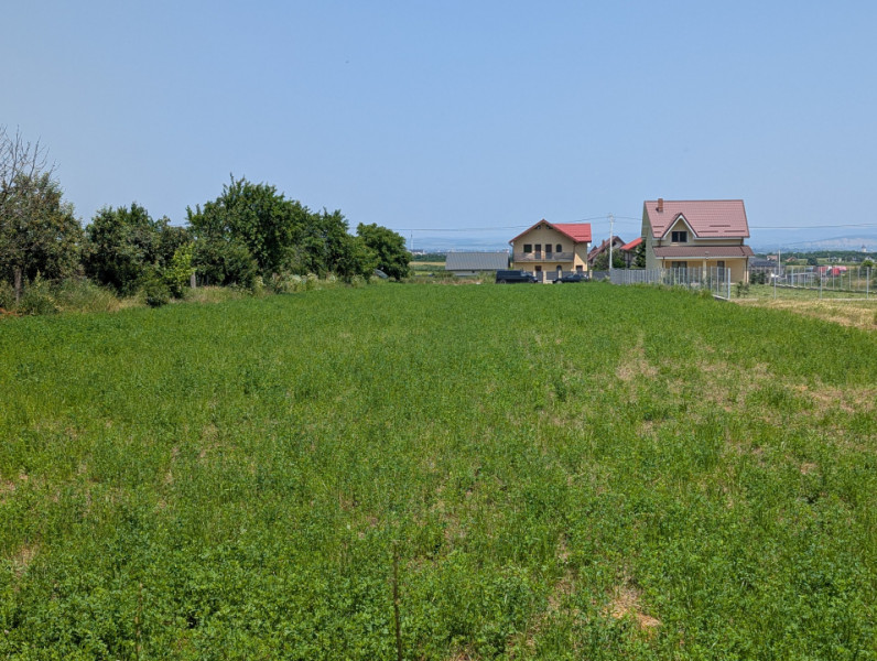 Teren Măgura Farbe , 4600m dubla deschidere 