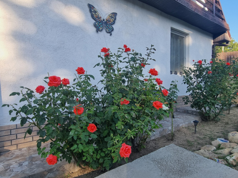Comuna Sărata! Casă-spectacol! Casa în care vei scrie povești! 