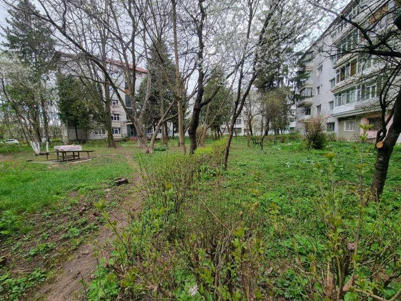 Zonă verde- apartament două camere decomandate, cu îmbunătățiri