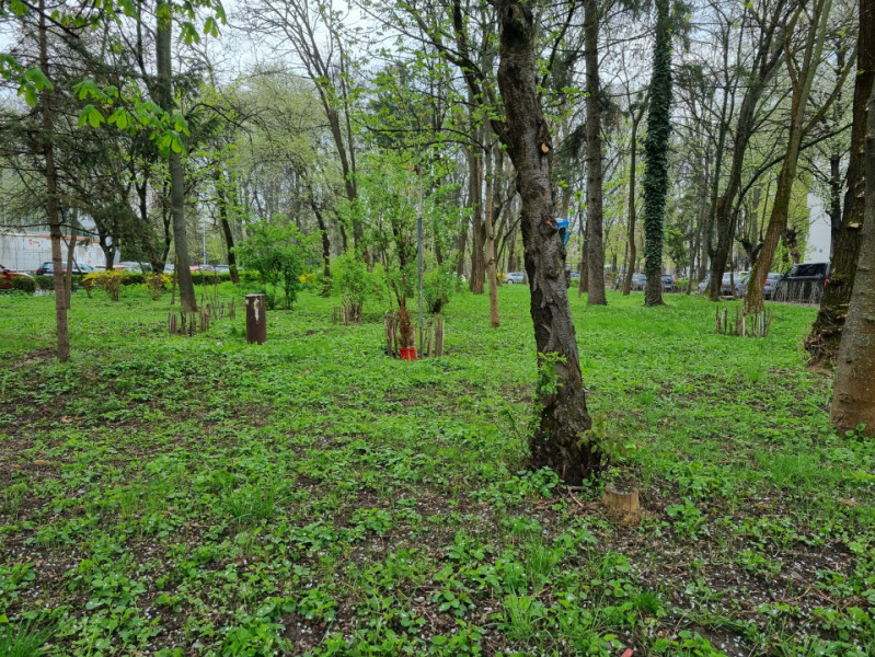 Apartament 2 camere decomandate - Parcul Cancicov - zonă verde