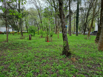 Apartament 2 camere decomandate - Parcul Cancicov - zonă verde