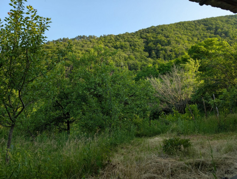 Sărata Băi- Oportunitate investiție- 4038 mp- priveliște spectacol