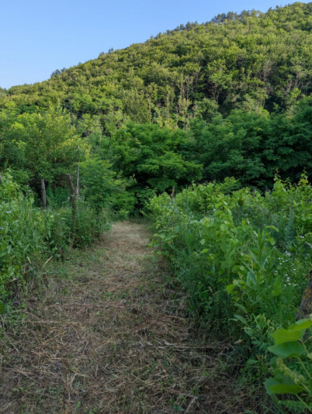 Sărata Băi- Oportunitate investiție- 4038 mp- priveliște spectacol