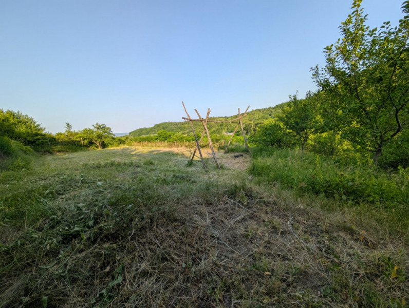 Sărata Băi- Oportunitate investiție- 4038 mp- priveliște spectacol