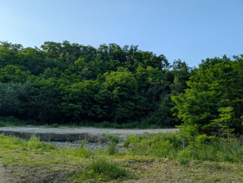 Sărata Băi- Oportunitate investiție- 4038 mp- priveliște spectacol