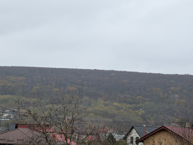 Locație exclusivista ! Fii vecin cu pădurea!