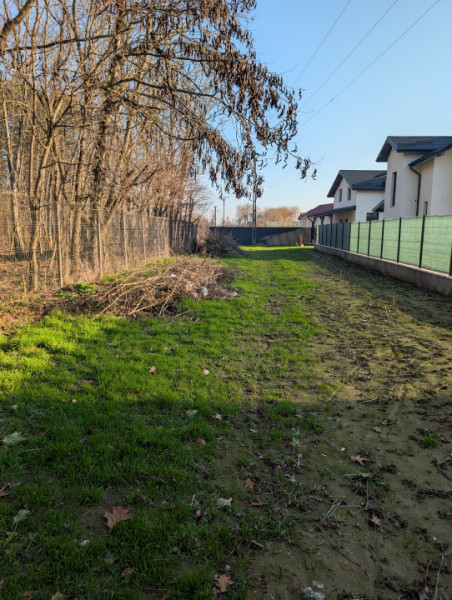 Locație exclusivista ! Fii vecin cu pădurea! Parcul Dendrologic 