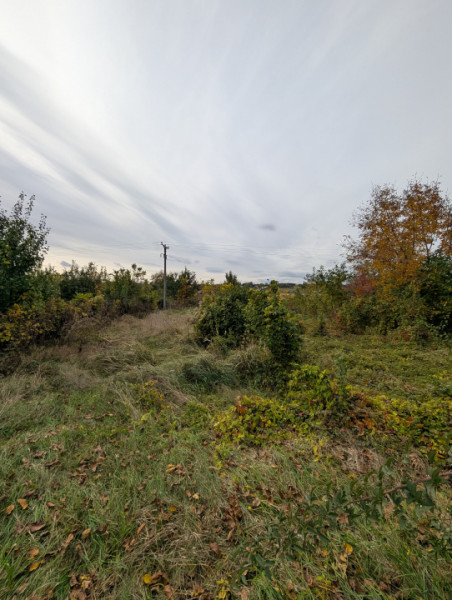 Teren 1966m Arcadie Șeptilici - TNT( Iner)