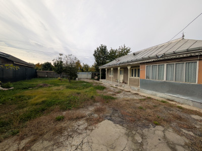 Teren 1966m Arcadie Șeptilici - TNT( Iner)