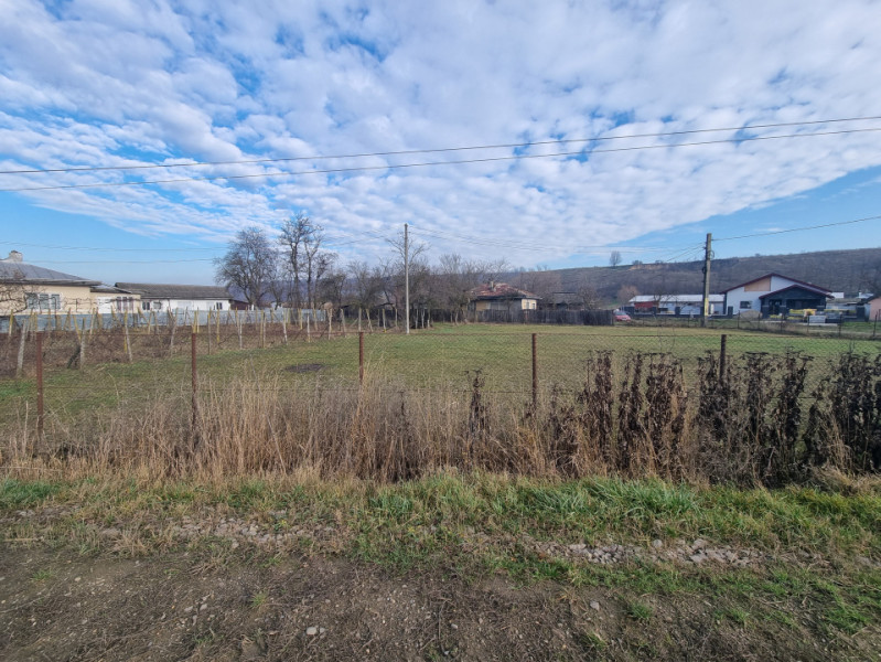 Casă + teren 2600 mp- Com. Negri- scop rezidențial sau industrial 