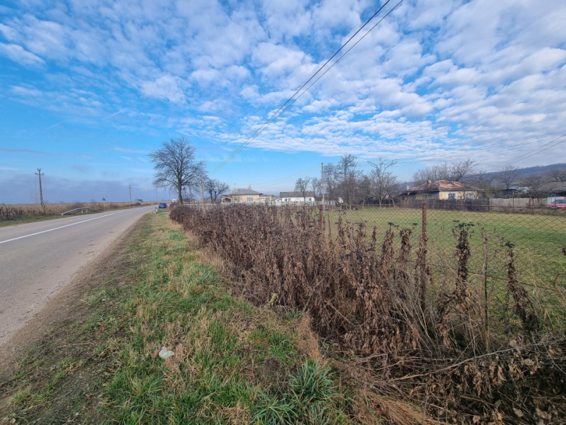 Casă + teren 2600 mp- Com. Negri- scop rezidențial sau industrial 