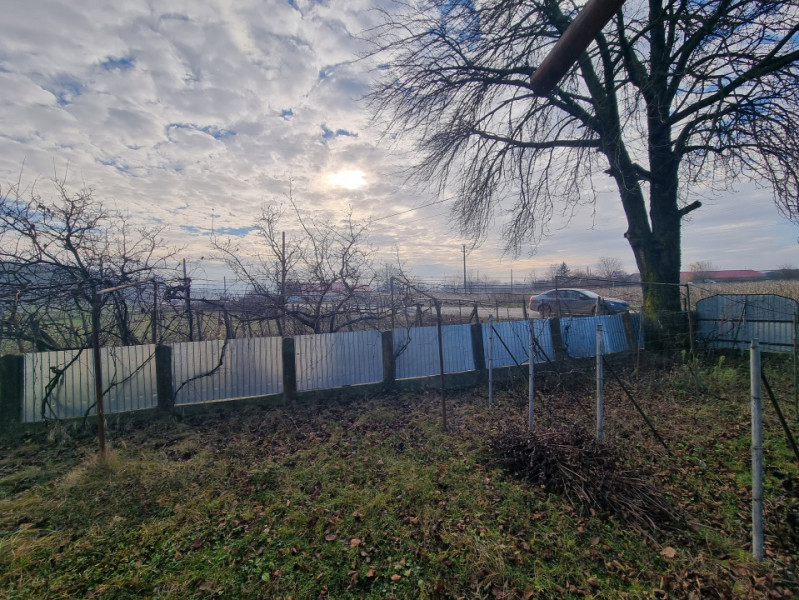 Casă + teren 2600 mp- Com. Negri- scop rezidențial sau industrial 