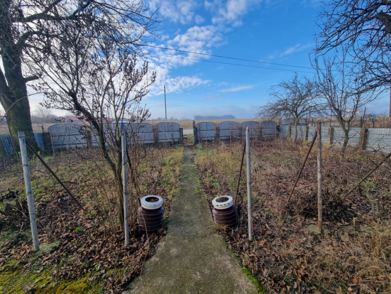 Casă + teren 2600 mp- Com. Negri- scop rezidențial sau industrial 