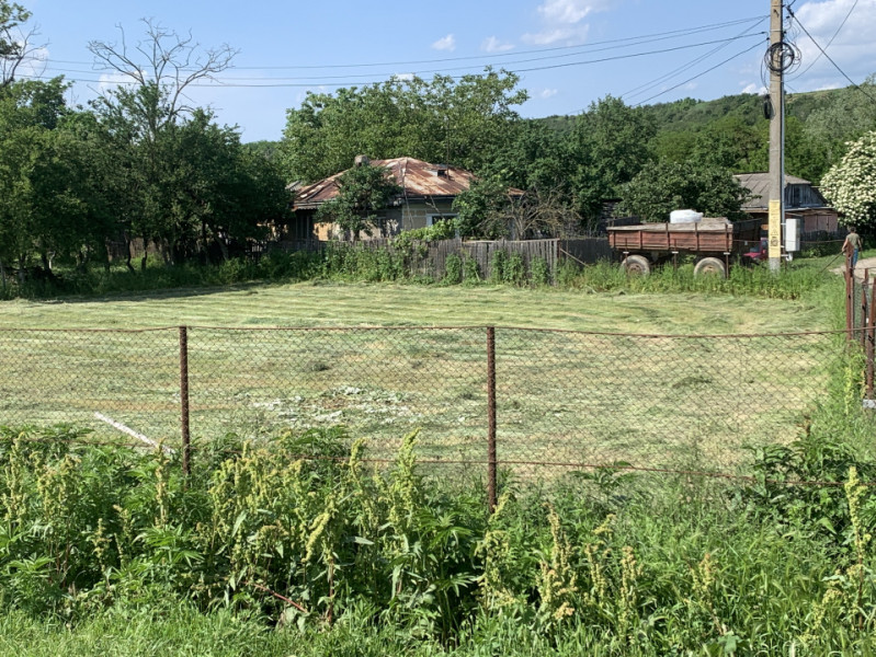 Casă + teren 2600 mp- Com. Negri- scop rezidențial sau industrial 