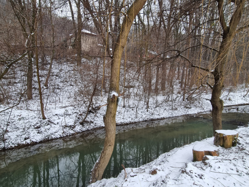 Hemeius- Teren cu deschidere la pădure și pârâu. Cu salcie la mal!