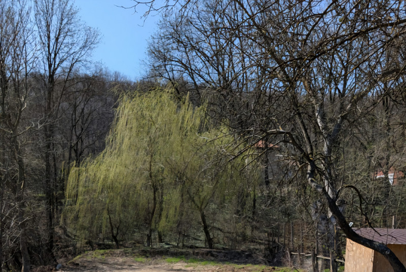 Hemeius/Teren cu deschidere la pădure și pârâu/certificat de urbanism 