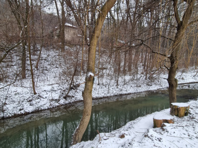 Hemeius- Teren cu deschidere la pădure și pârâu. Cu salcie la mal!