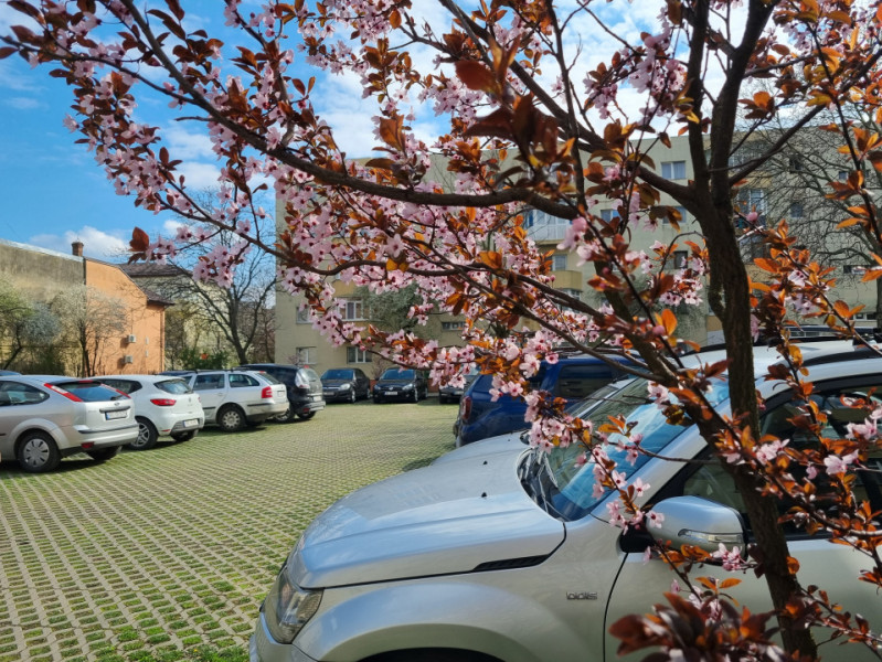 Parcul Catedralei- Apartament două camere, mobilat și utilat 