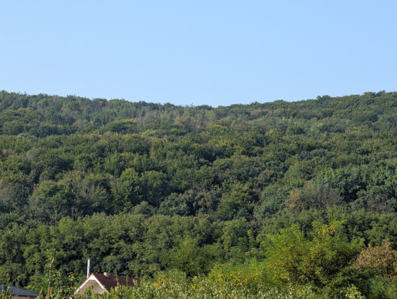 Teren intravilan Hemeiuș - langa padure