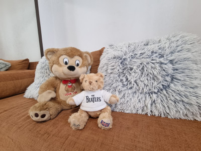Pet Friendly! Apartament 2 camere decomandate/mobilat/etaj 1-Adriatica