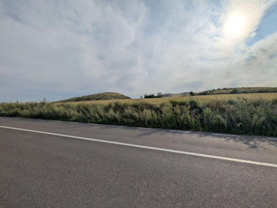 Sărata- lângă Mun. Bacău- 4000 mp- oportunitate investiție 