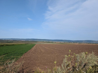 Sărata- lângă Mun. Bacău- 4000 mp- oportunitate investiție 