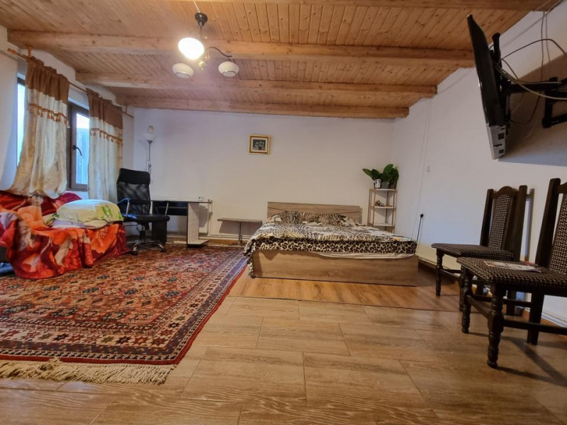 Spațiu 40 mp la curte, intrare separată- Zona Mioriței- Martir Horia 