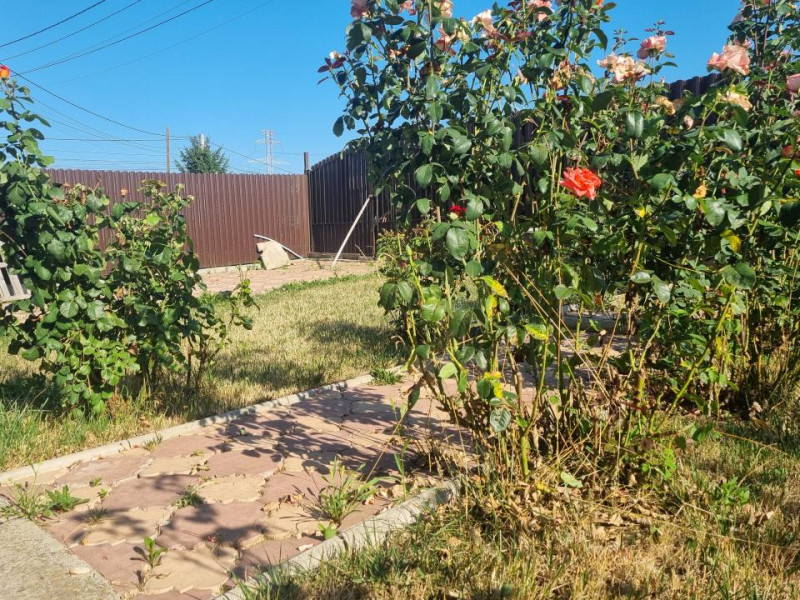 Casa cu trandafiri din Letea Veche, construcție 2013