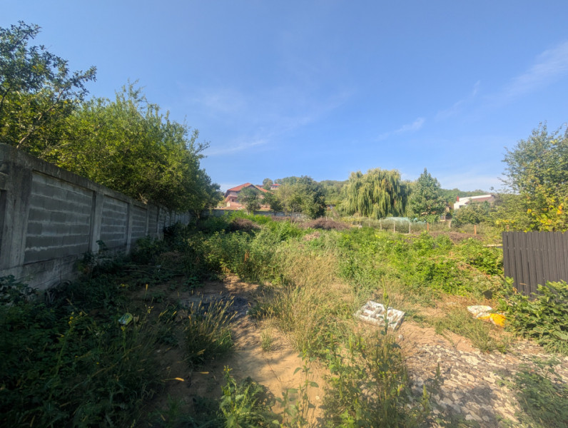 Teren intravilan Hemeiuș , loturi de casa, toate utilitățile.