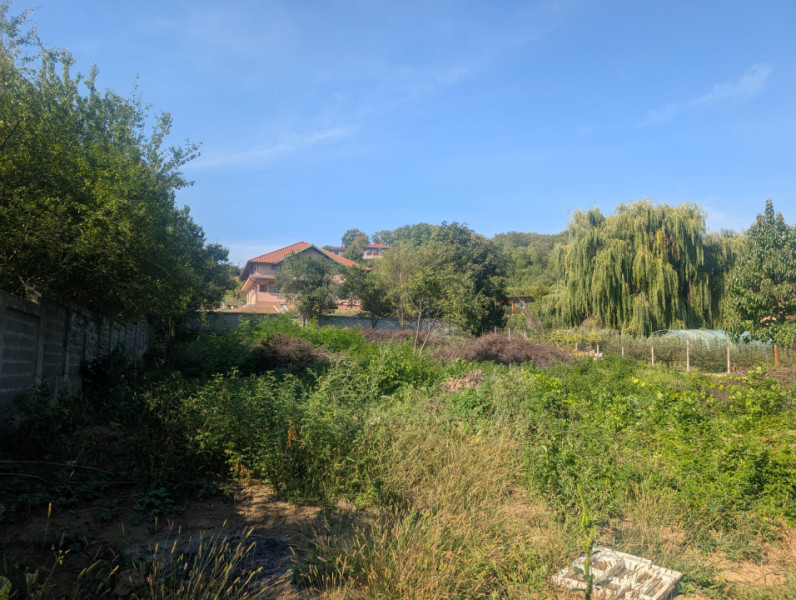 Teren intravilan Hemeiuș , loturi de casa, toate utilitățile.