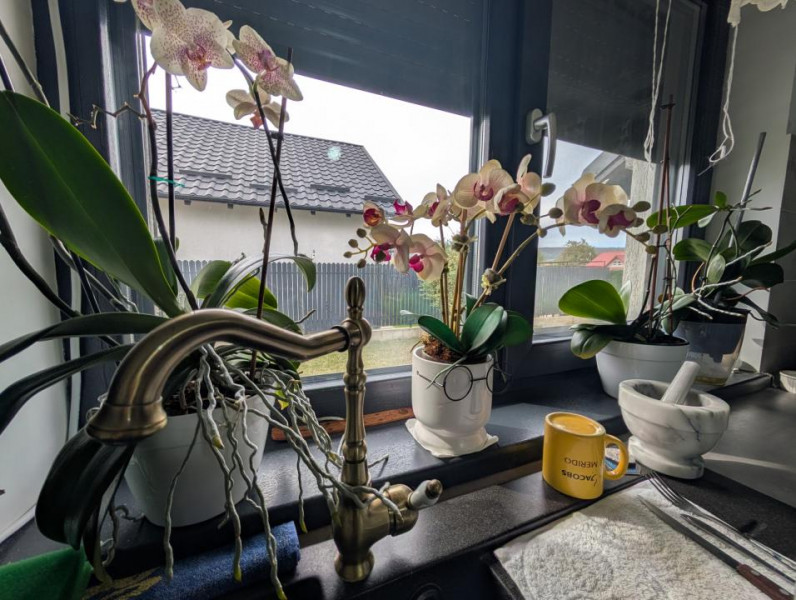 Casa Lilieci amenajata modern, mobilată - utilata 
